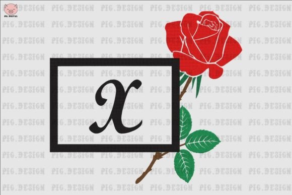 Working With Rose Font X: A Designer’s Real-World Review